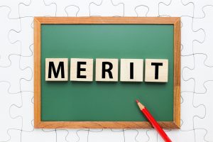 MERIT